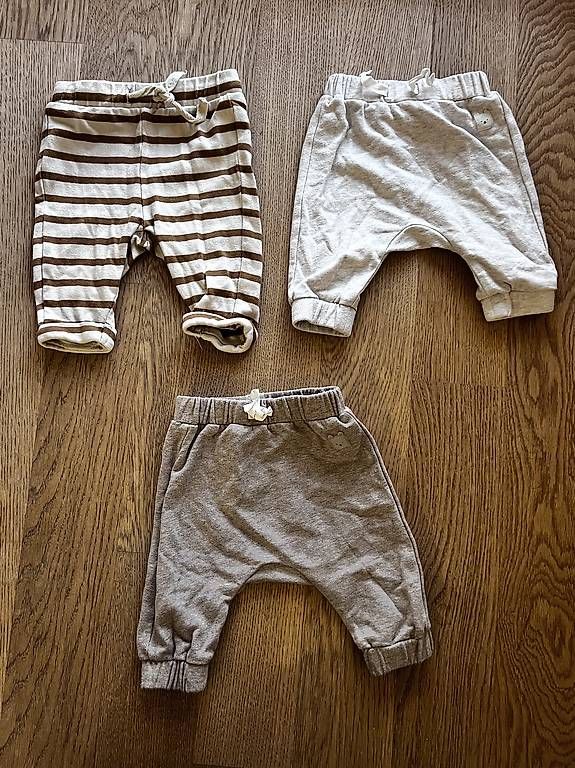 Lotti & Set di vestiti: Hosen Strampler Baby Gr. 50 – Usato da Rothenburg venduto da Isopot