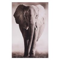 Gerahmtes Leinwandbild Elefant