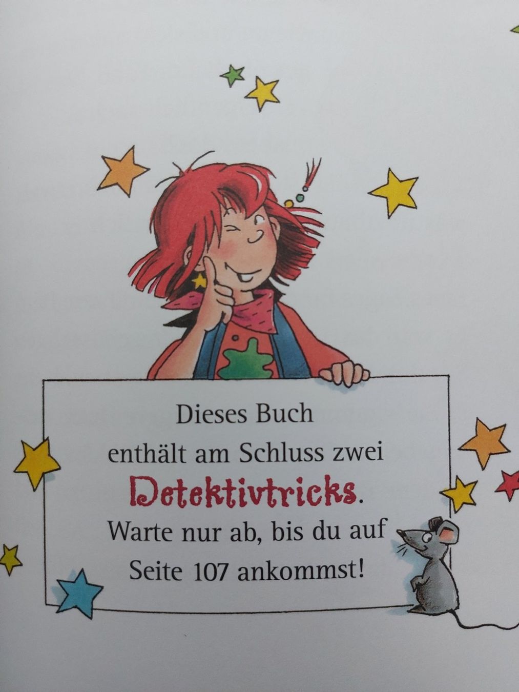 Bücher: Hexe Lilli wird Detektivin (Band 5) – Neu (gemäss Beschreibung) aus Balterswil von Steineparadies 2