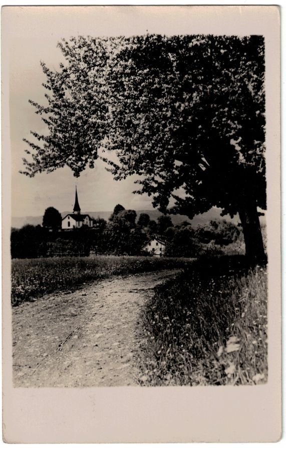 Cartoline postali: Wer weiss mehr? Kandersteg – Usato da Frauenfeld venduto da POML