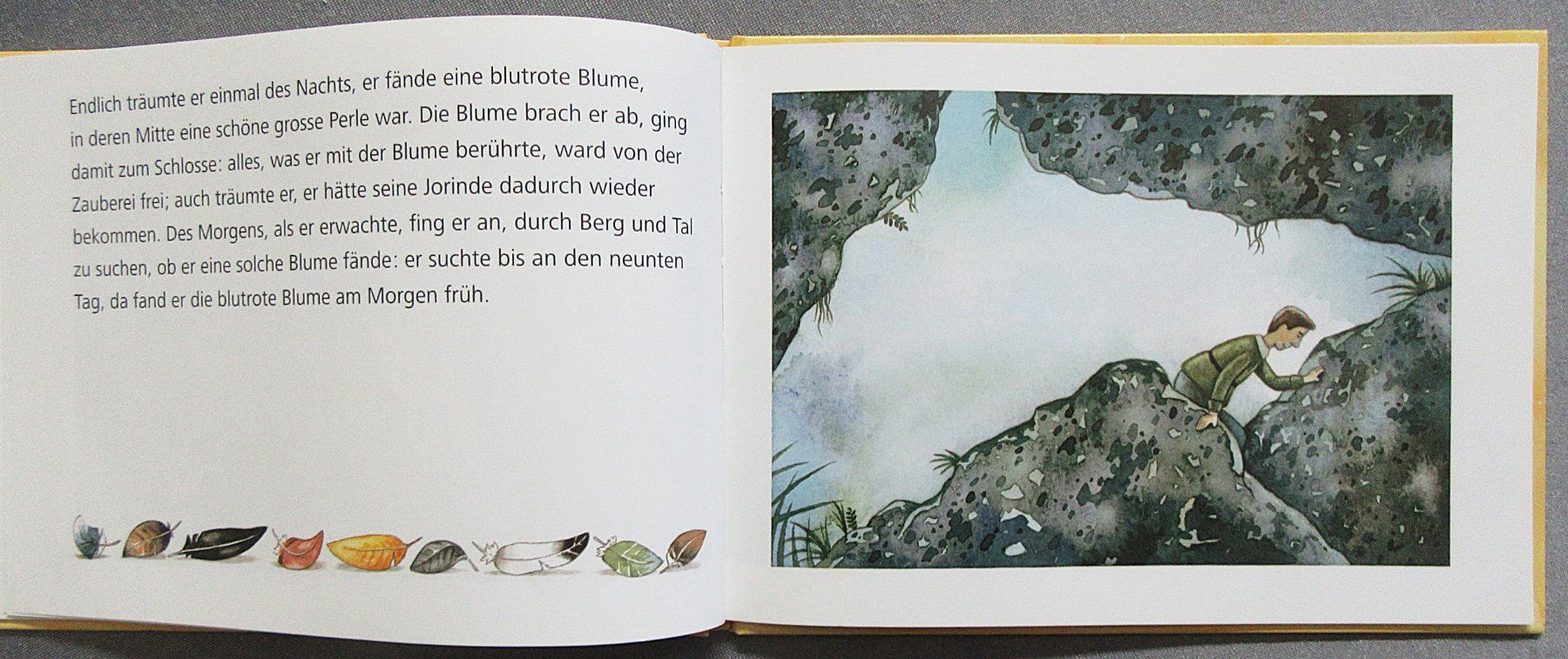 Libri: Jorinde und Joringel - ein Märchen der Brüder Grimm – Usato da Auenstein venduto da Padabimbim 4