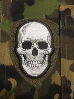 Schweiz Abzeichen Badge Patch Skull Totenkopf TAZ 90 Armee