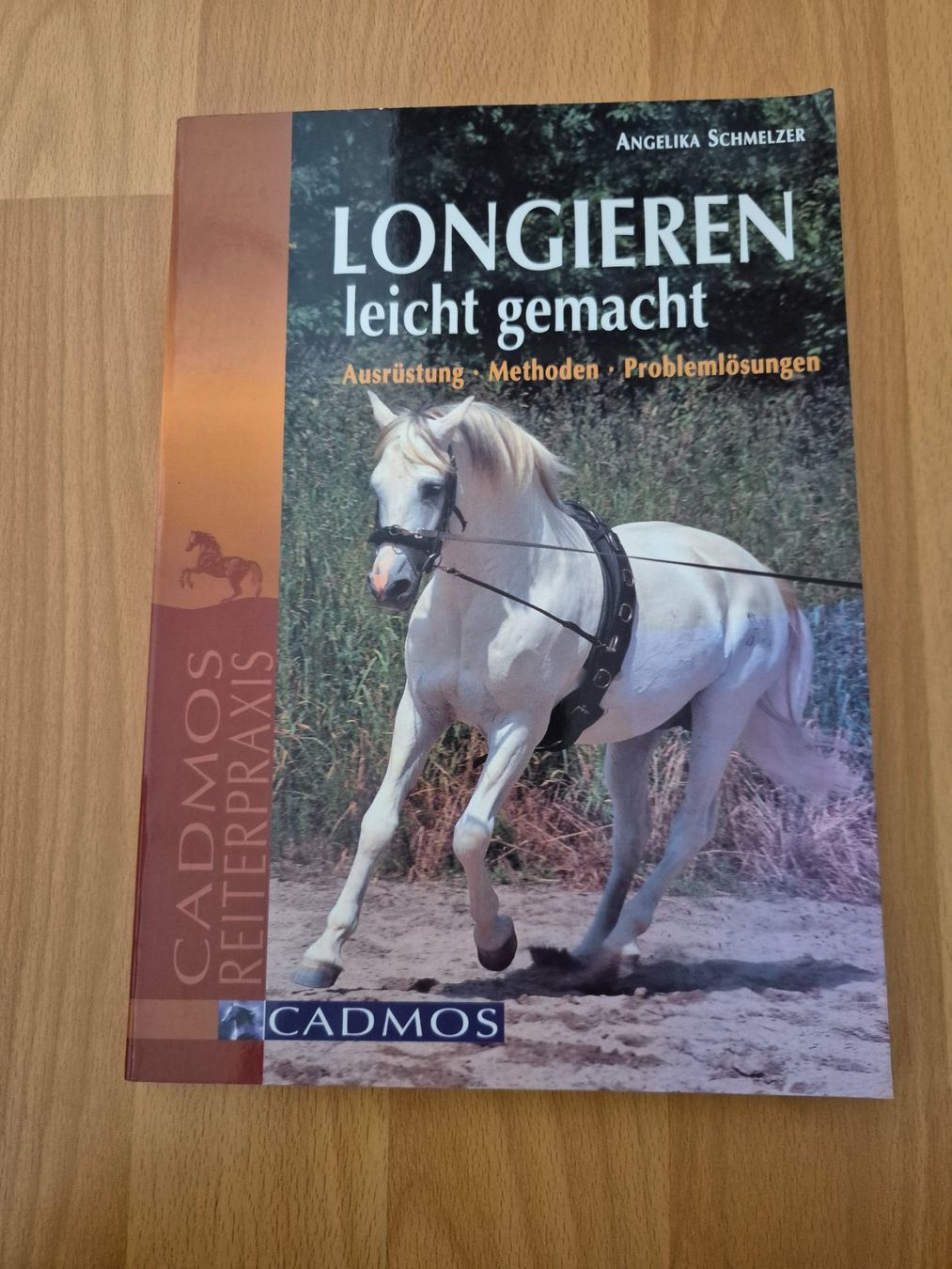 Brides, licols: Pferdefachbuch – D'occasion à Meggen par Orrinka20