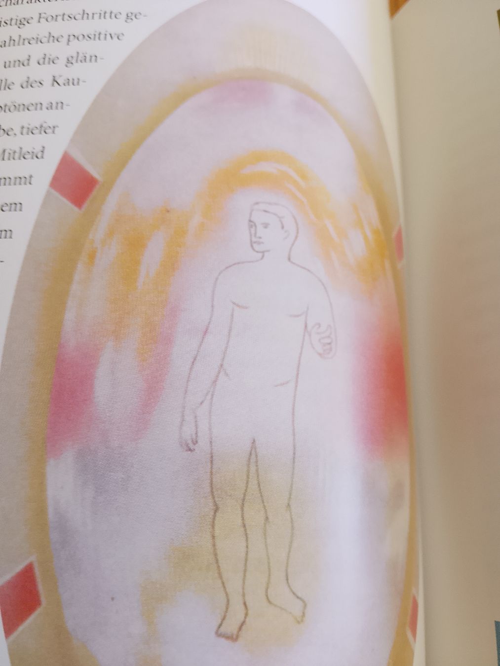 Bücher: Das große illustrierte Aurabuch – Neu (gemäss Beschreibung) aus Volken von katz5 3