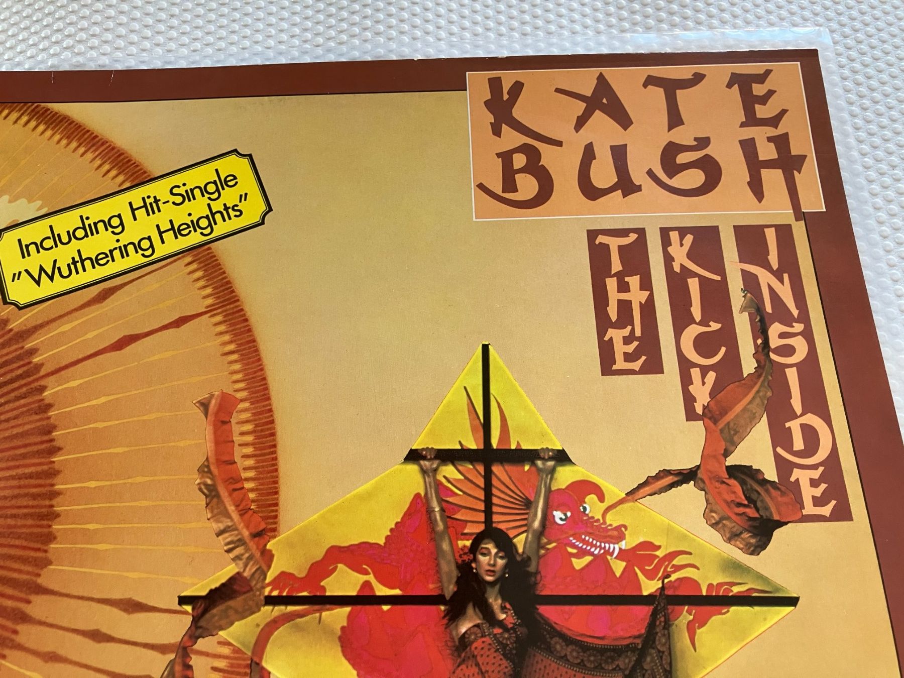 Dischi in vinile: Kate Bush – Usato da Aarwangen venduto da Jukebox3 1