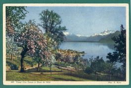 Vevey, Lac Léman et Dents du Midi, 1929, gelaufen
