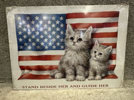 Katzen usa Flagge 