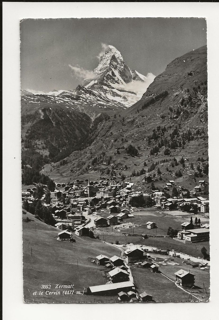 Cartoline postali: AK 1962 Zermatt mit Matterhorn – Usato da Greifensee venduto da 315WDO