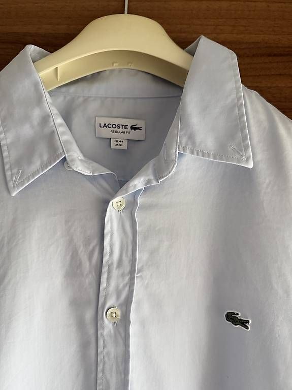 Camicie: Lacoste Hemd Hellblau – Usato da Egnach venduto da hrid 1