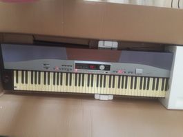 E-Piano SP-​5100 Sta­ge­piano (Tho­mann)