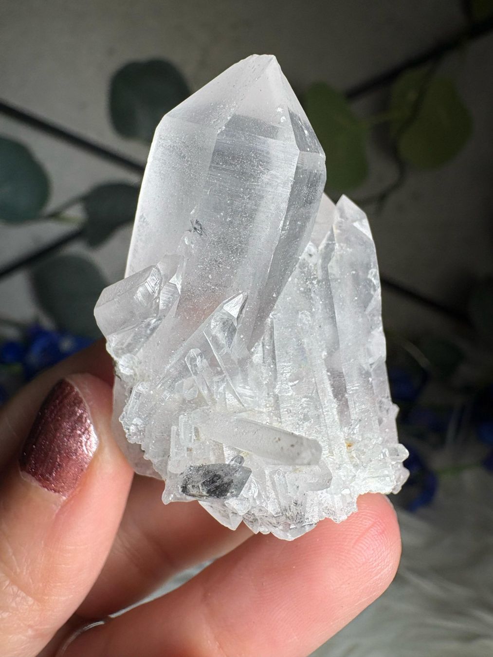 Minerali & Pietre curative: Kolumbianischer Lemurian-Quarz-Cluster – Nuovo (secondo la descrizione) da Neuheim venduto da m.hald 1
