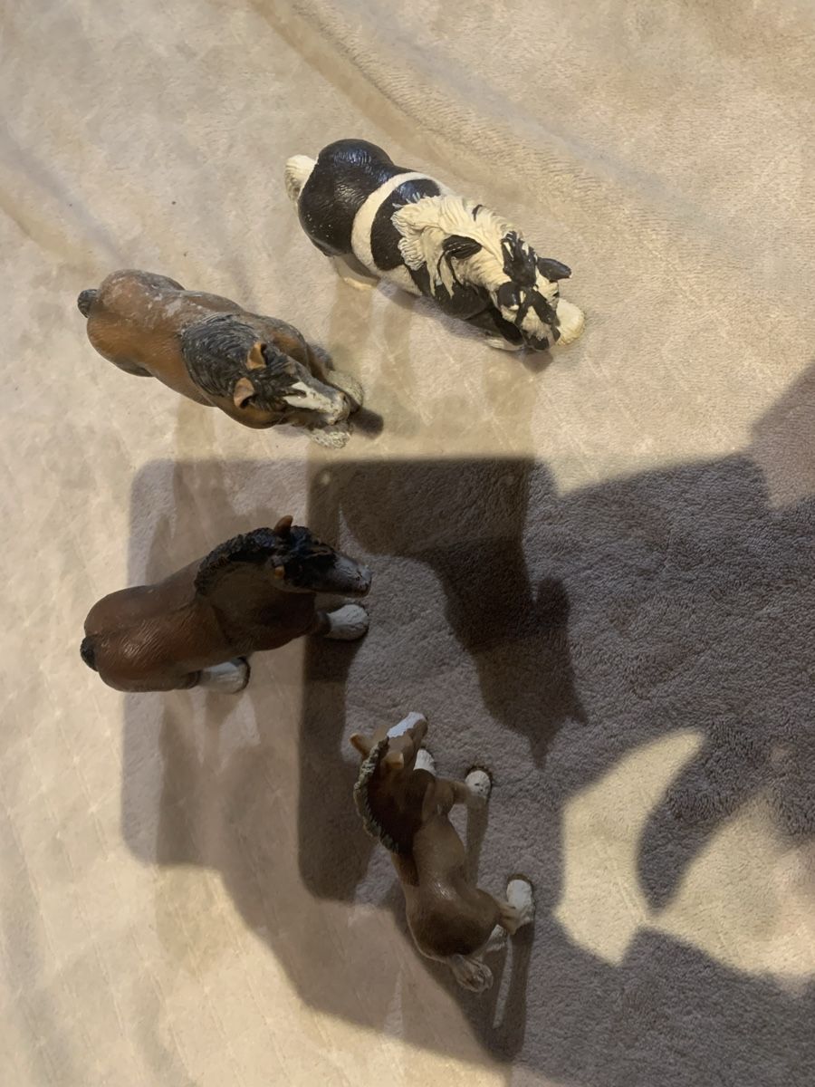 Schleich Jouets: 3 Pferde 1 Fohlen – D'occasion à Richterswil par irenemiz 4