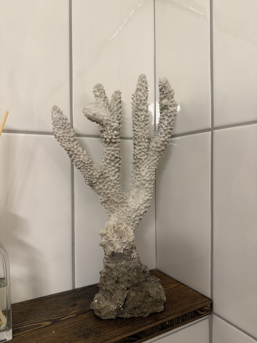 Tutte le decorazioni: Korallen Deko – Usato da Mörschwil venduto da Seegurke18