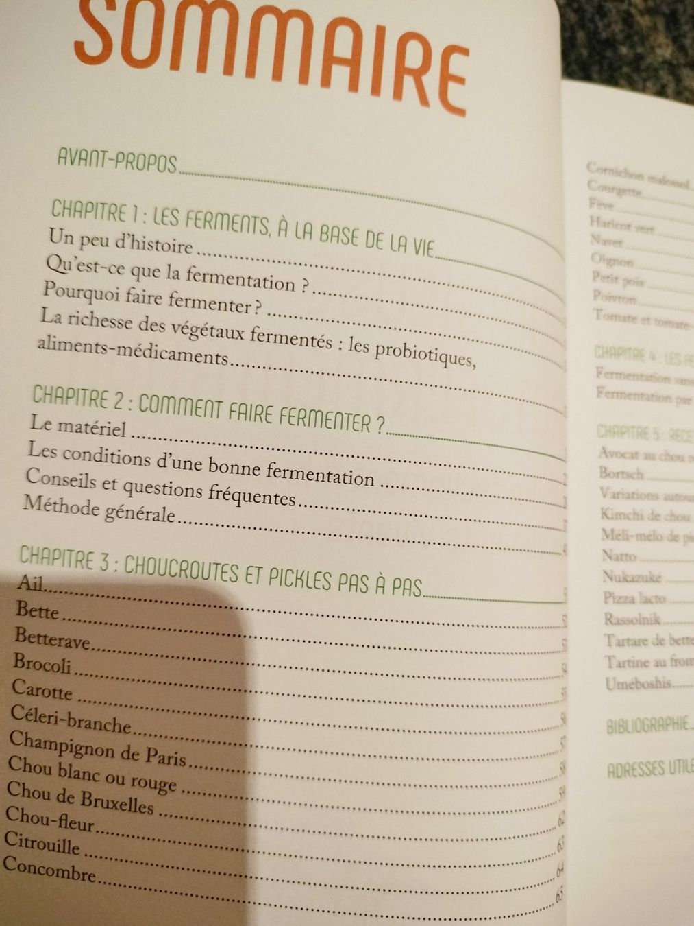 Livres: Prodigieuse lactofermentation avec des recettes – Neuf (Voir description) à Cortaillod par rozinna 2
