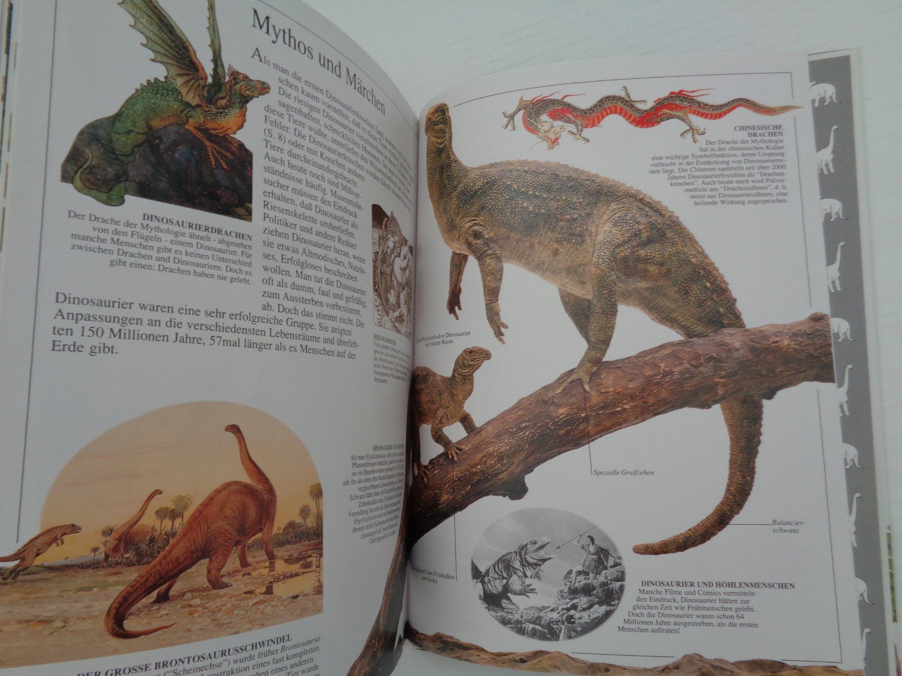 Libri: Dinosaurier - Aufstieg und Niedergang – Usato da Chur venduto da Oregano1 2