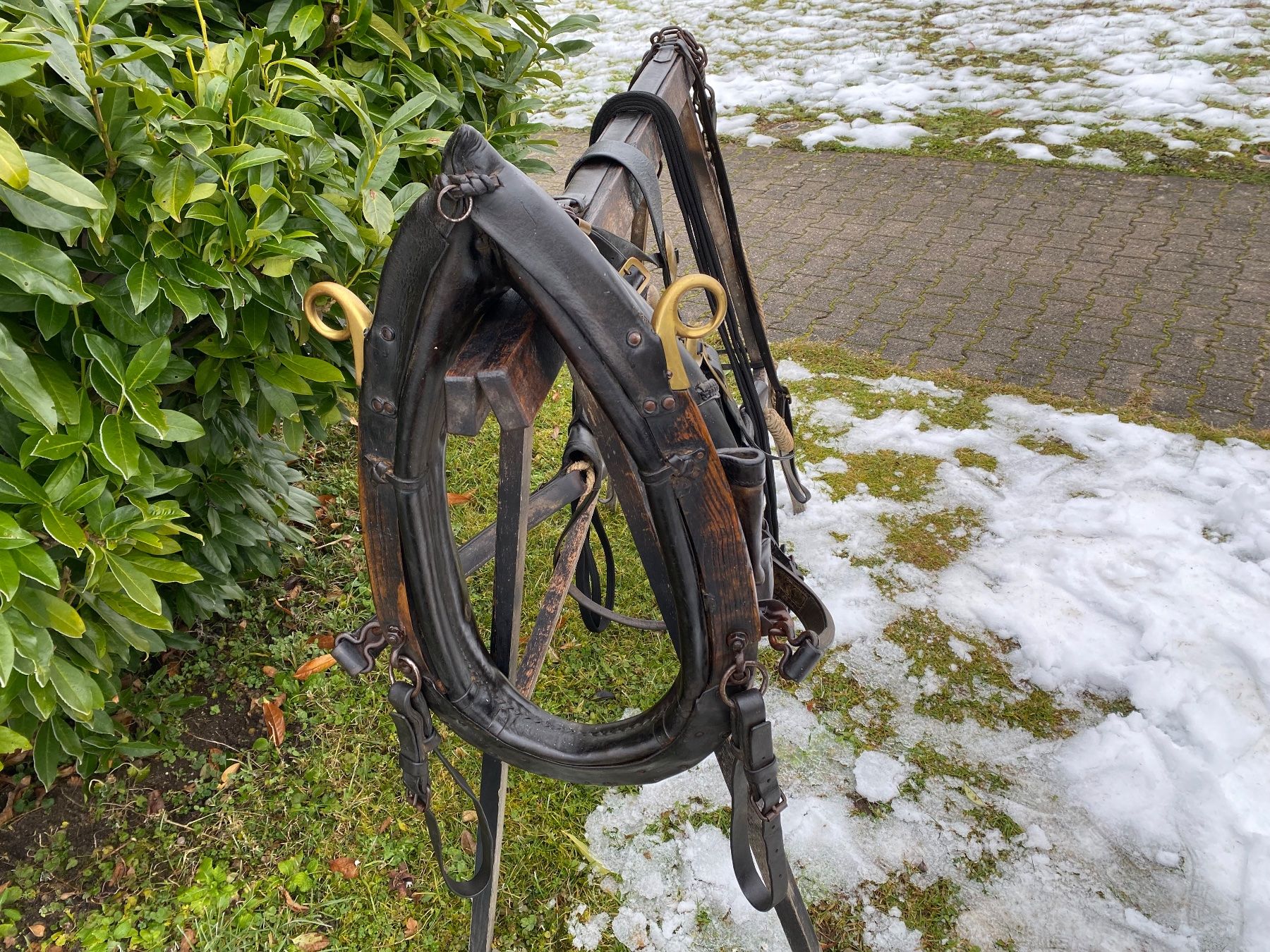 Campanacci mucche: schönes Spitzkummetgeschirr – Usato da Feldbach venduto da Fea1 7