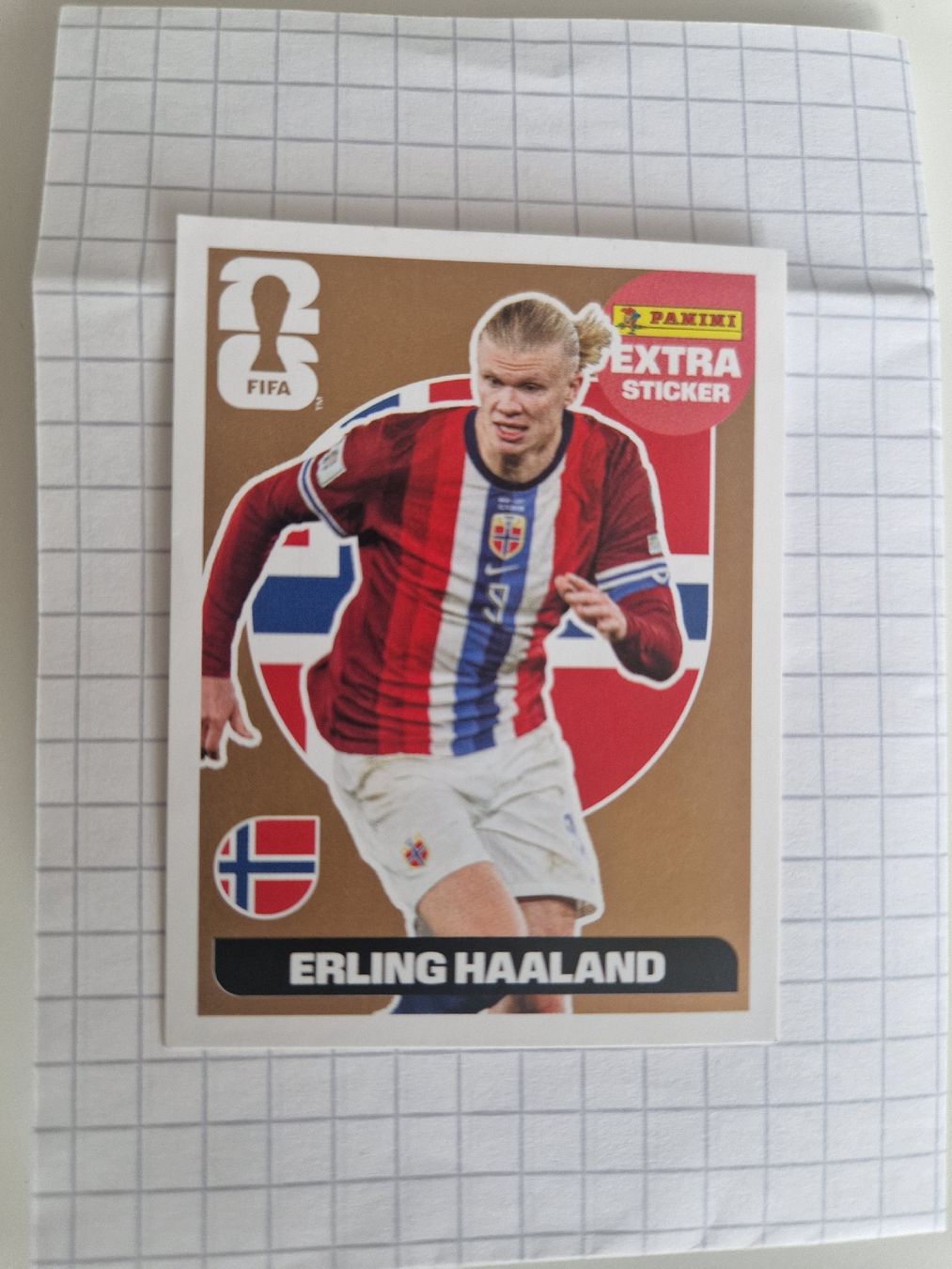 Panini Carte collezionabili: Erling Haaland - extra sticker bronze Panini – Nuovo e nell'imballaggio originale da Ecublens VD venduto da Appuipro