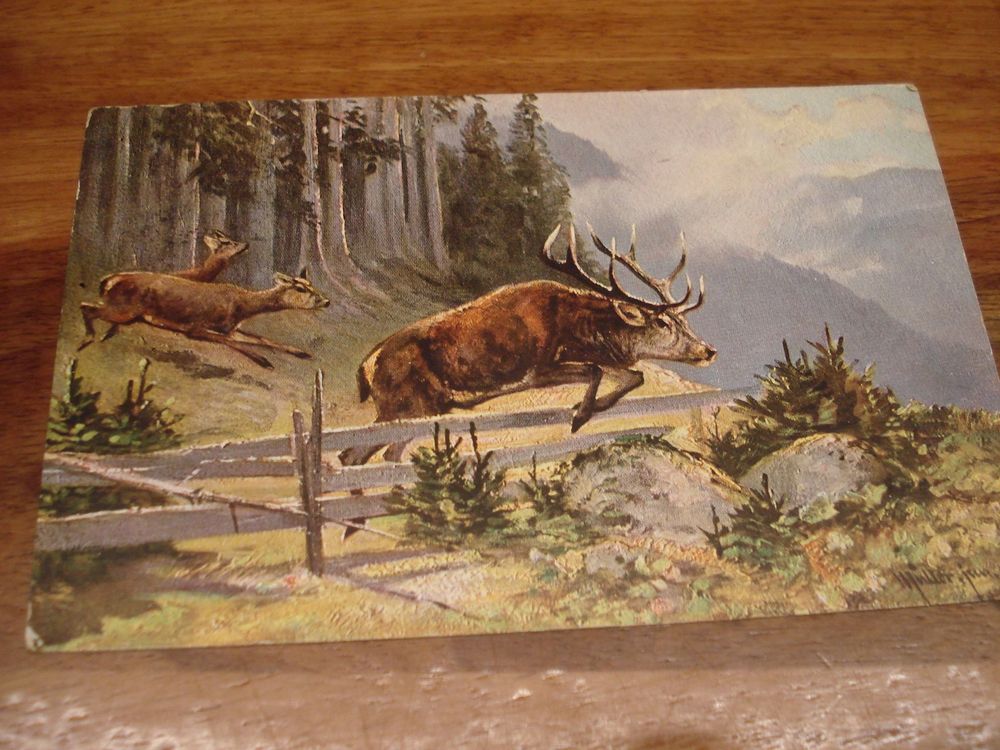 AK Kunstkarte / Carte Postale Artistique - 'Arrivée De Vergasilaun'