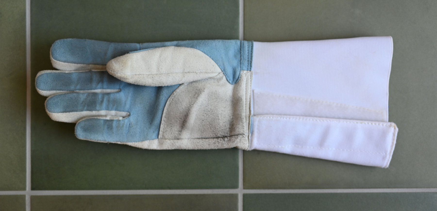 Guanti & manicotti: Uhlmann Fechthandschuh – Usato da Bern venduto da Mydogonline 1