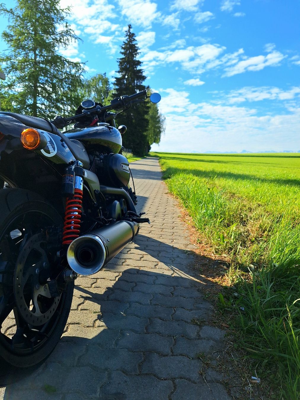 Harley-Davidson Altro: Harley Davidson Street Rod XG750A – Usato da Kirchlindach venduto da Sinischa 3