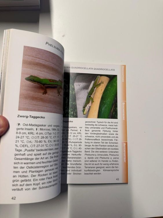 Livres: Kompaktwissen Taggeckos – Neuf (Voir description) à Zürich par Mousie 1