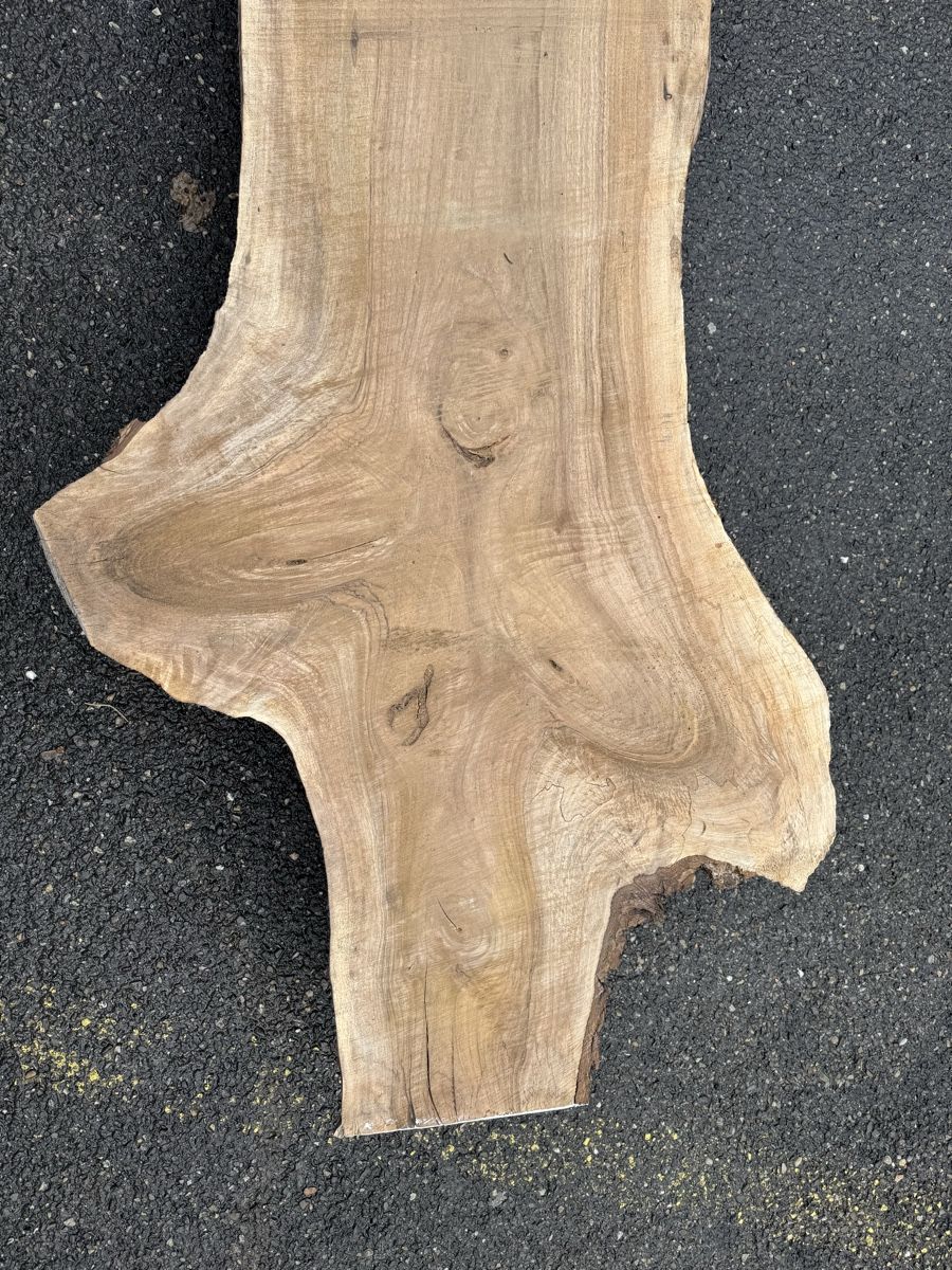 Articoli in legno: Nussbaum Klotzbrett 280  cm lang! – Usato da Gränichen venduto da onkel_xxl 3