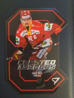 2025/26 Crested Leaders EHC Biel-Bienne Gaetan Haas