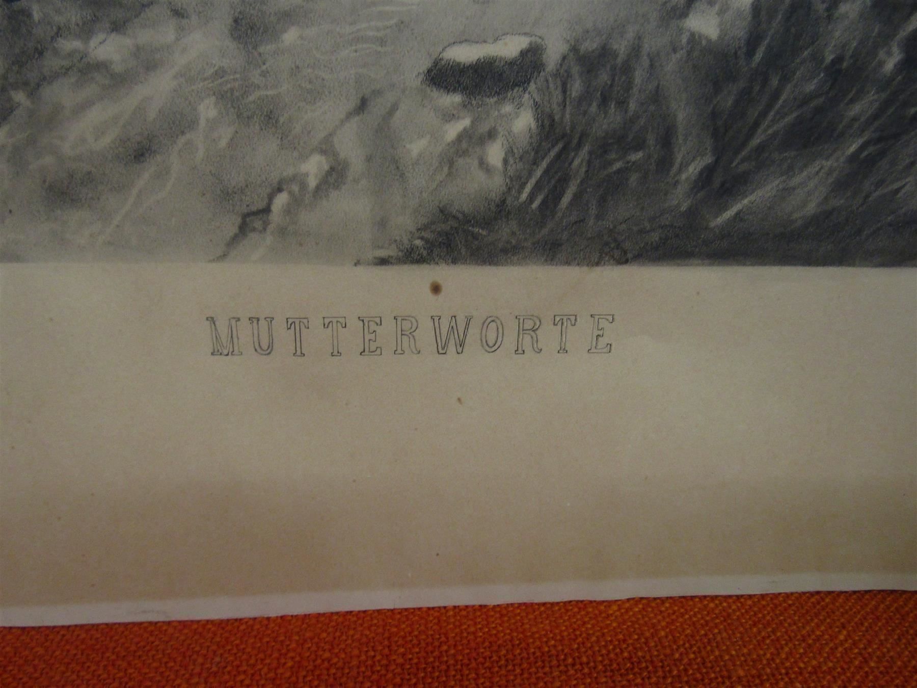 Foto & Immagini: Bild Mutterworte - signiert                         (Nr.16) – Difettoso da Herzogenbuchsee venduto da Winigo 1