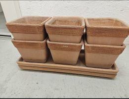 Terracotta-colored clay pots (6 pieces, 15 x 15 cm)