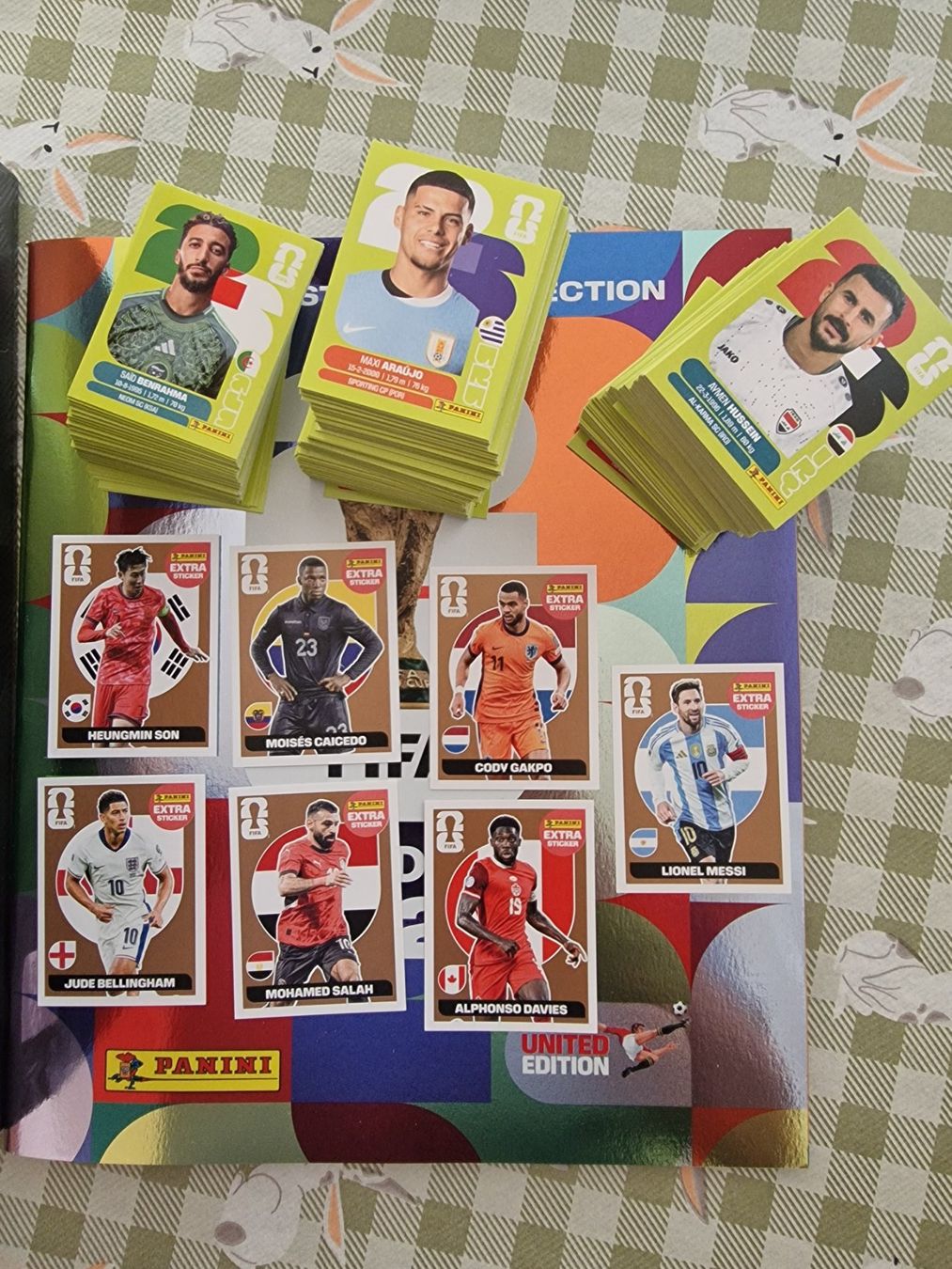 Panini Carte collezionabili: Panini WM 2026 Treasure box plus Extras – Nuovo e nell'imballaggio originale da Adliswil venduto da vendor123 1
