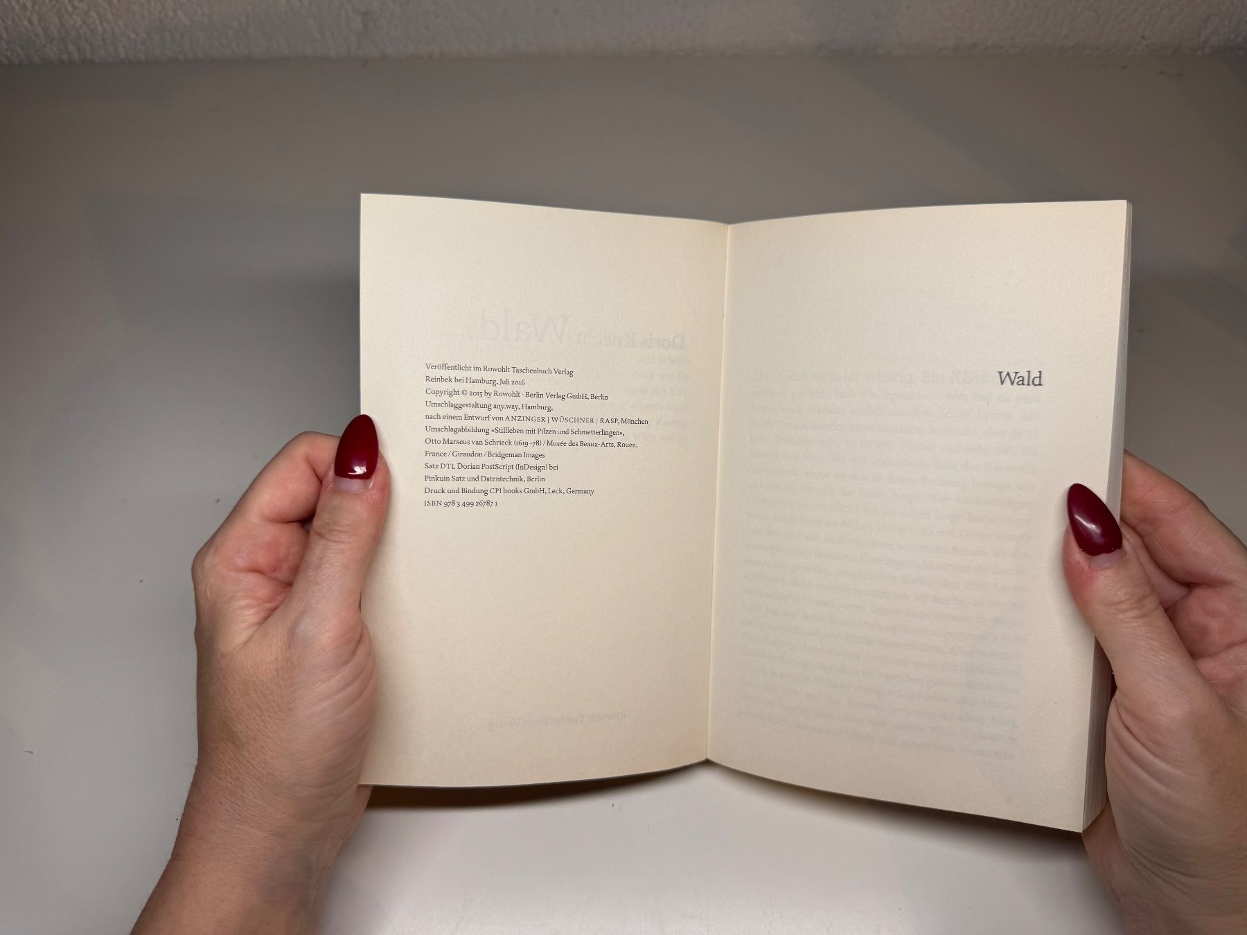 Libri: ROMAN: Doris Knecht, Wald – Usato da Grosswangen venduto da Deutsche_Romane 3