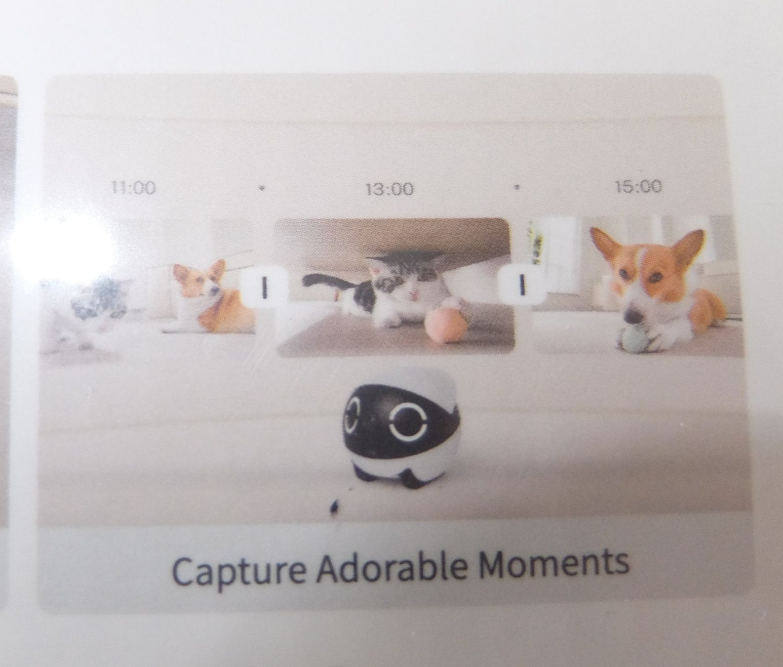 Videocamere: Enabot Rola Mini Companion Robot  camera – Nuovo e nell'imballaggio originale da Basel venduto da Elektronik_Markt 6