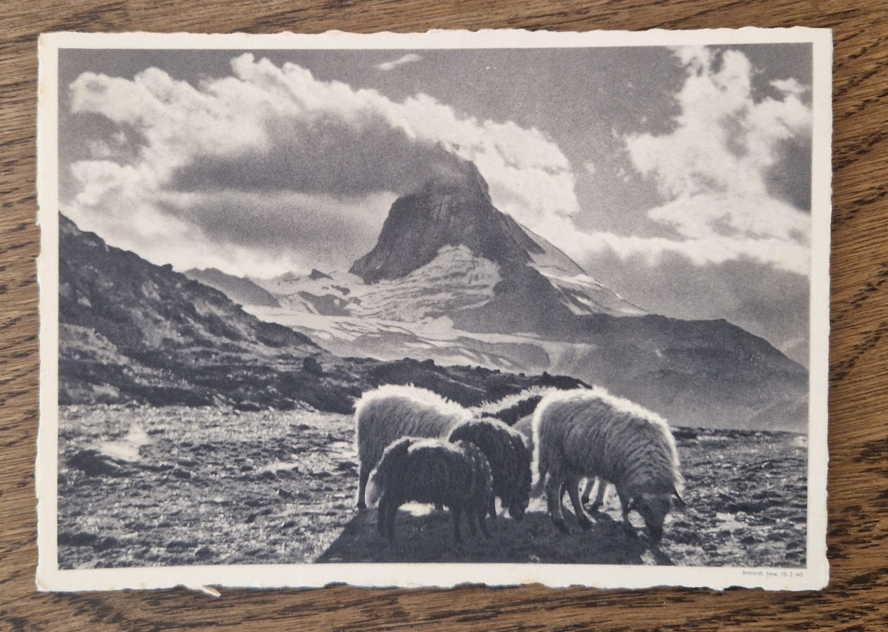 Cartes postales: Schafe vor dem Matterhorn  – D'occasion à Ebikon par Donar50