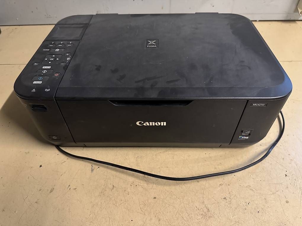 Stampanti: Drucker/Scanner Canon Pixma MG4250 – Usato da Rodersdorf venduto da aki12