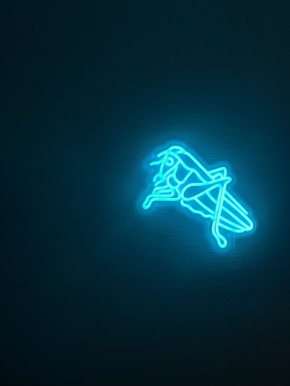 Foto & Immagini: GCZ Neon LED Heugümper – Nuovo e nell'imballaggio originale da Stäfa venduto da hokoatu 5