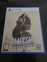 Blacksad PS5