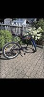 Schönes Electra Custum Velo