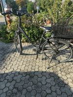 Velo