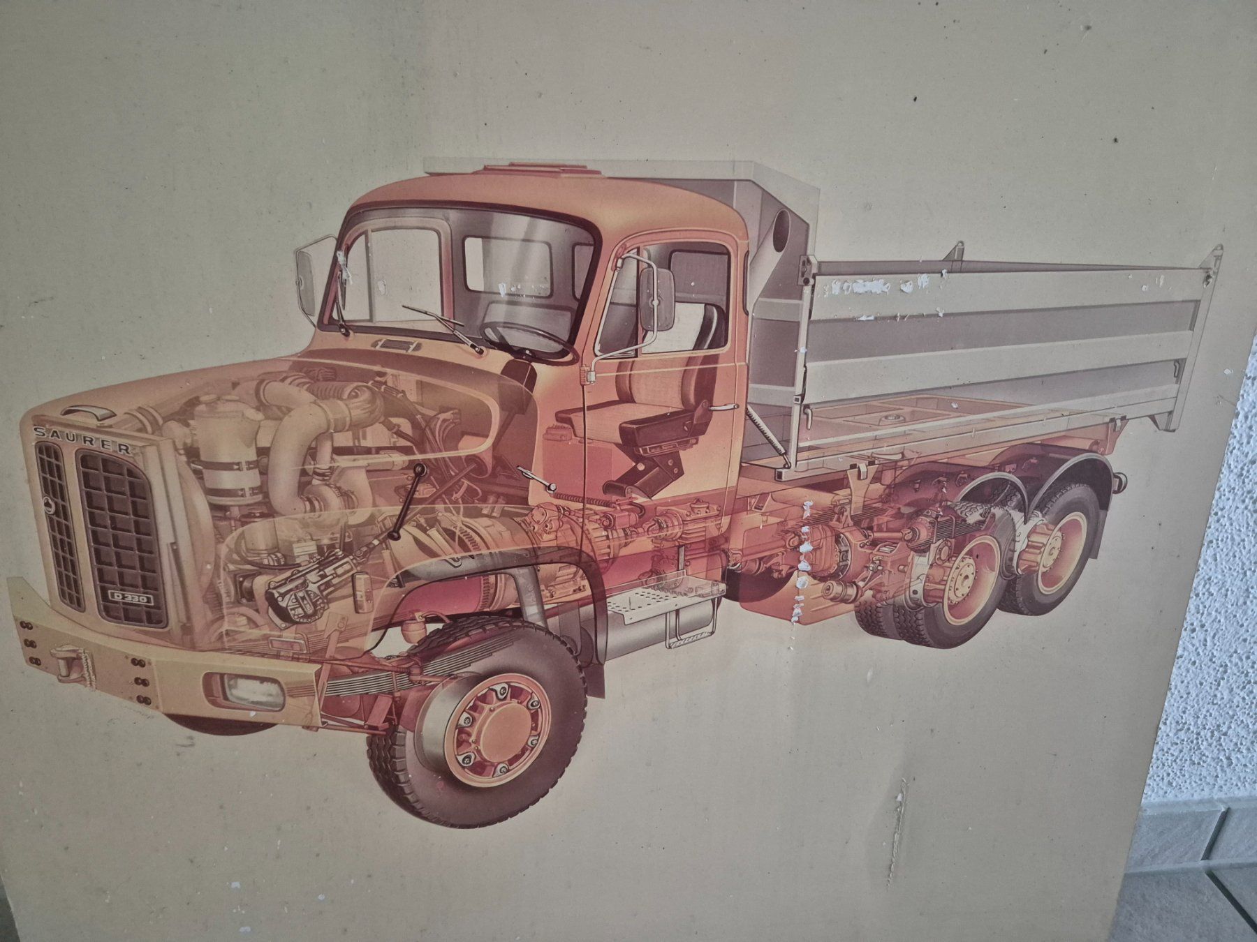 Foto & Immagini: Bild Saurer Lastwagen D330 N – Usato da Berg SG venduto da Bolle01 1