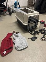 Chihuahua oder Katzen Starter Set