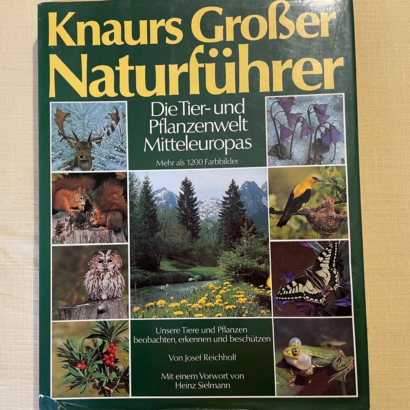 Libri: Tier- und Pflanzenwelt Mitteleuropas, 1984 – Usato da Liestal venduto da Coutellerie