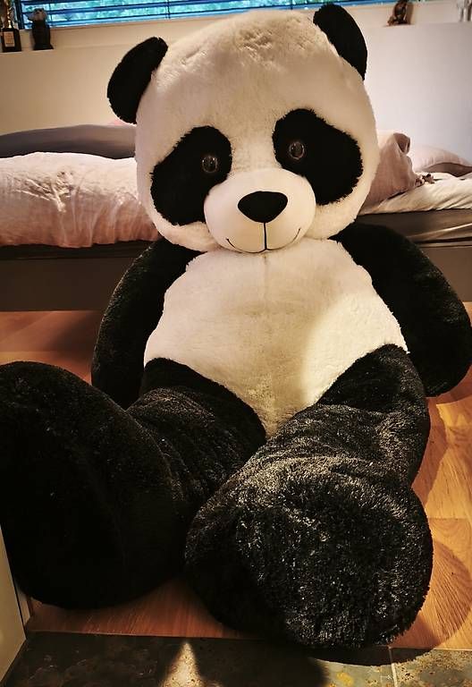 Spielzeuge: XXL Plüschtier, Panda – Gebraucht aus Heerbrugg von Belinda26