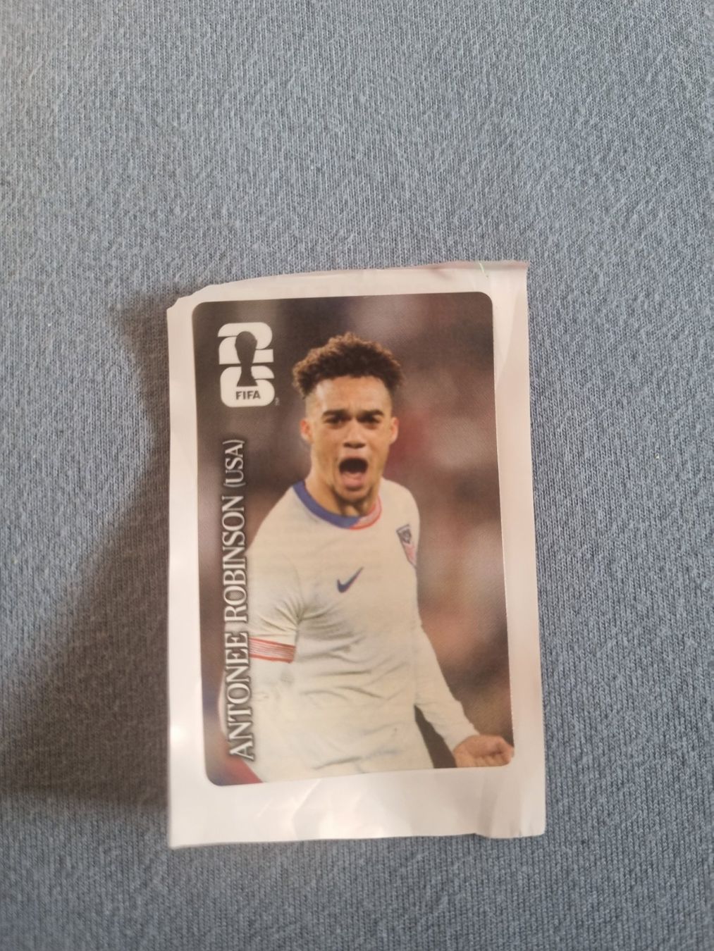 Panini Carte collezionabili: WM 2026 Cola Panini Sticker Robinson – Nuovo (secondo la descrizione) da Murten venduto da Inf-shop