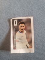 WM 2026 Cola Panini Sticker Robinson