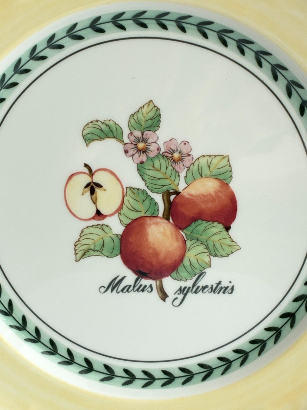 Villeroy & Boch Piatti: 2 Villeroy & Boch "French Garden" Teller "Malus Silvestris" – Usato da Kloten venduto da Nephty 5