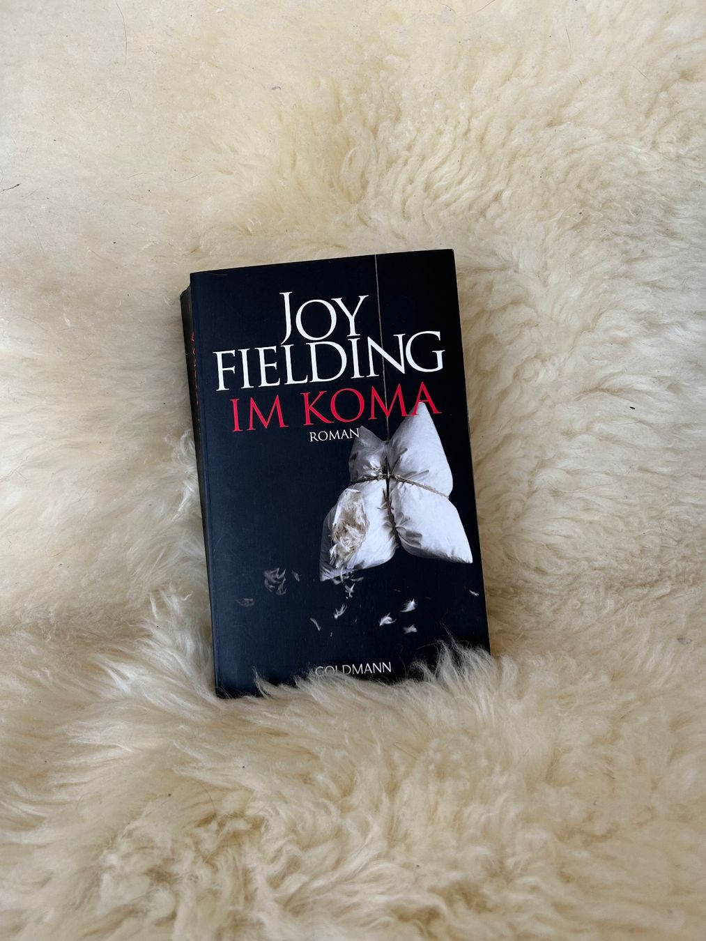 Libri: Im Koma - Joy Fielding – Usato da Roggwil BE venduto da Jessica085