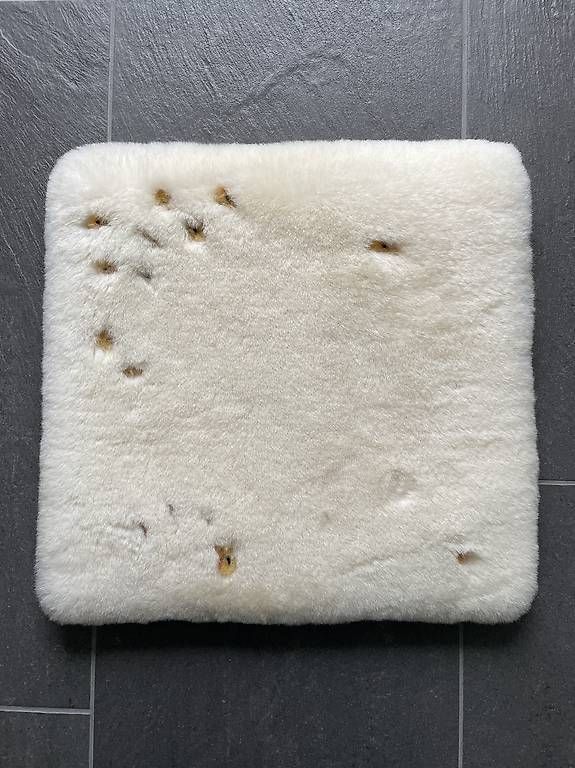 Kissen: Sitzkissen Sezzin  – Gebraucht aus Meisterschwanden von xX3000Xx 1