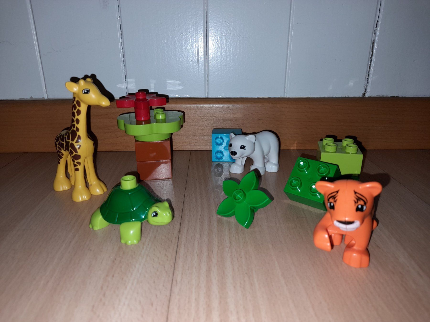 Lego Giocattoli: Lego Duplo Jungtiere 10801 – Usato da Wittenbach venduto da Gugielmo