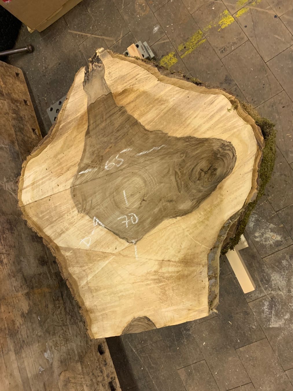 Holzartikel: Baumscheibe Nussbaum / Holzscheibe – Gebraucht aus Seedorf UR von Lochy 4