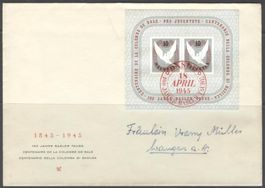 Block W23 100 J. Baslertaube auf Brief, roter Stempel